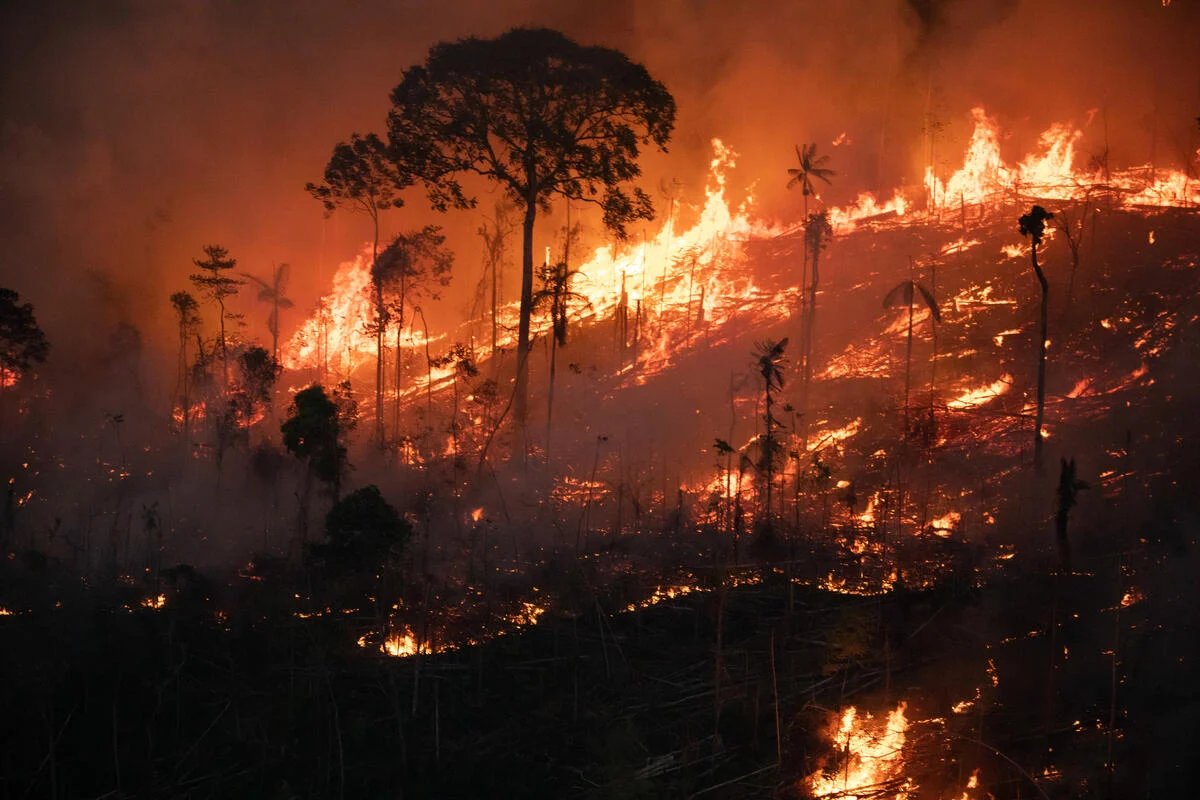 Prof Richard Betts (@richardabetts) on Twitter photo Want to work with me and colleagues at <a href="/ExeterGeography/">ExeterGeography</a> and <a href="/MetOffice_Sci/">Met Office Science</a> on fire and soil carbon in tropical forests?
Postdoc on fire, management and soil organic carbon fractions (including pyrogenic carbon) under climate change, using the JULES model
jobs.exeter.ac.uk/hrpr_webrecrui… Want to work with me and colleagues at <a href="/ExeterGeography/">ExeterGeography</a> and <a href="/MetOffice_Sci/">Met Office Science</a> on fire and soil carbon in tropical forests?
Postdoc on fire, management and soil organic carbon fractions (including pyrogenic carbon) under climate change, using the JULES model
jobs.exeter.ac.uk/hrpr_webrecrui…