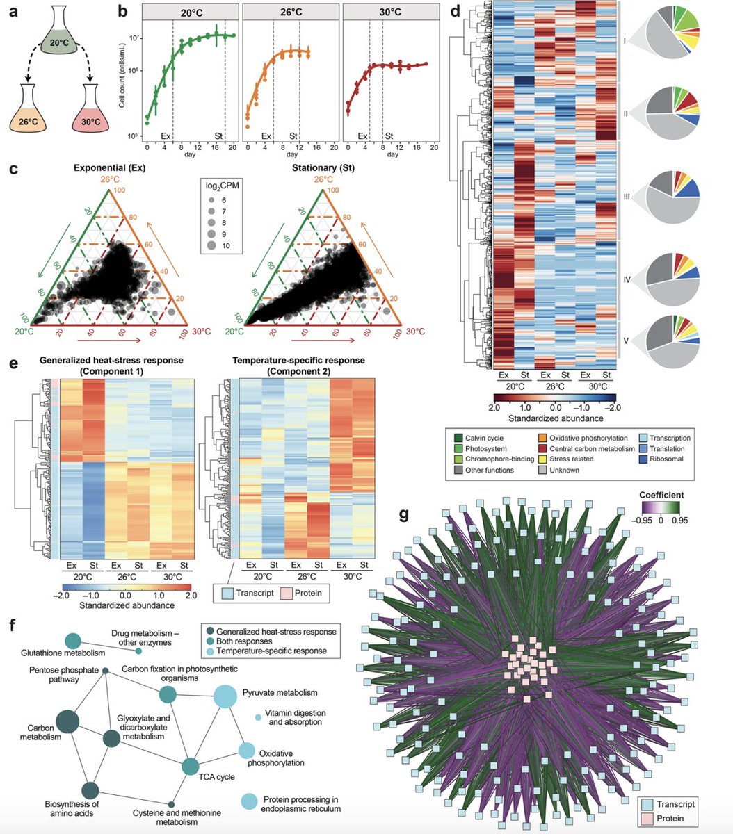 Cheong Xin (CX) Chan (@dorkym) on Twitter photo New work led by <a href="/KEDougan/">Katherine Dougan, PhD</a> <a href="/zhldeng/">Zhi-Luo Deng</a> Lars Wöhlbrand Carsten Reuse: decode molecular response of a bloom-forming #dinoflagellate to heat stress using #multiomics <a href="/GenomeBiology/">Genome Biology</a>! Exciting collab @ace_uq <a href="/UQ_SCMB/">UQ Chemistry and Molecular Biosciences</a> <a href="/tuBraunschweig/">TU Braunschweig</a> <a href="/Leibniz_DSMZ_en/">Leibniz-Institut DSMZ</a> @UniOldenburg
doi.org/10.1186/s13059… New work led by <a href="/KEDougan/">Katherine Dougan, PhD</a> <a href="/zhldeng/">Zhi-Luo Deng</a> Lars Wöhlbrand Carsten Reuse: decode molecular response of a bloom-forming #dinoflagellate to heat stress using #multiomics <a href="/GenomeBiology/">Genome Biology</a>! Exciting collab @ace_uq <a href="/UQ_SCMB/">UQ Chemistry and Molecular Biosciences</a> <a href="/tuBraunschweig/">TU Braunschweig</a> <a href="/Leibniz_DSMZ_en/">Leibniz-Institut DSMZ</a> @UniOldenburg
doi.org/10.1186/s13059…