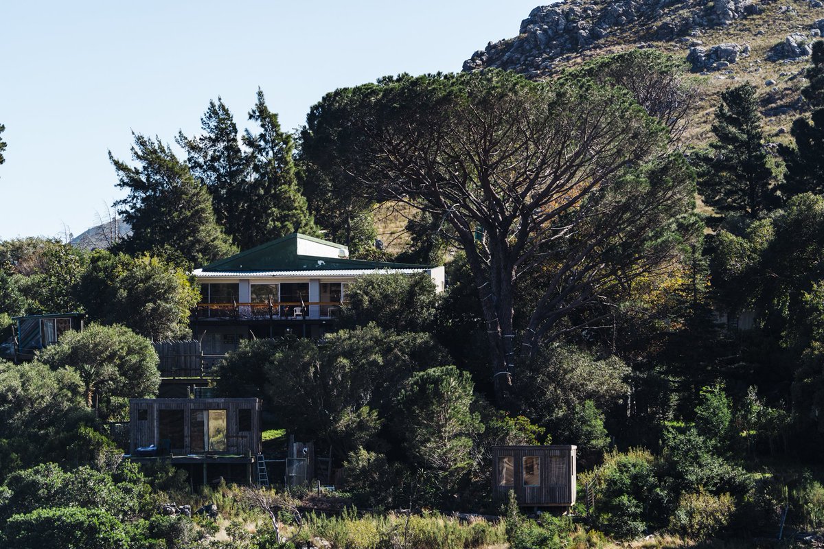 songo.info tweet media