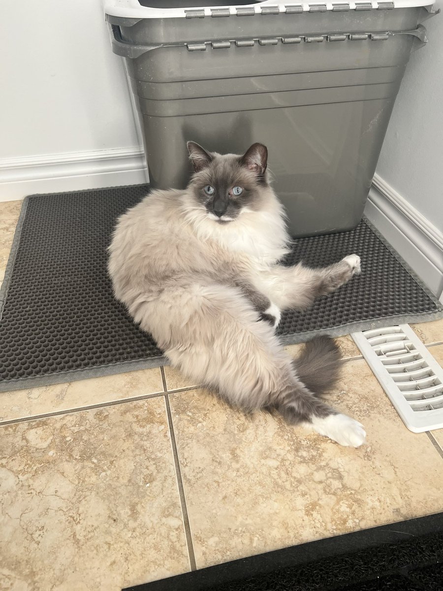 S Luckett G tweet media