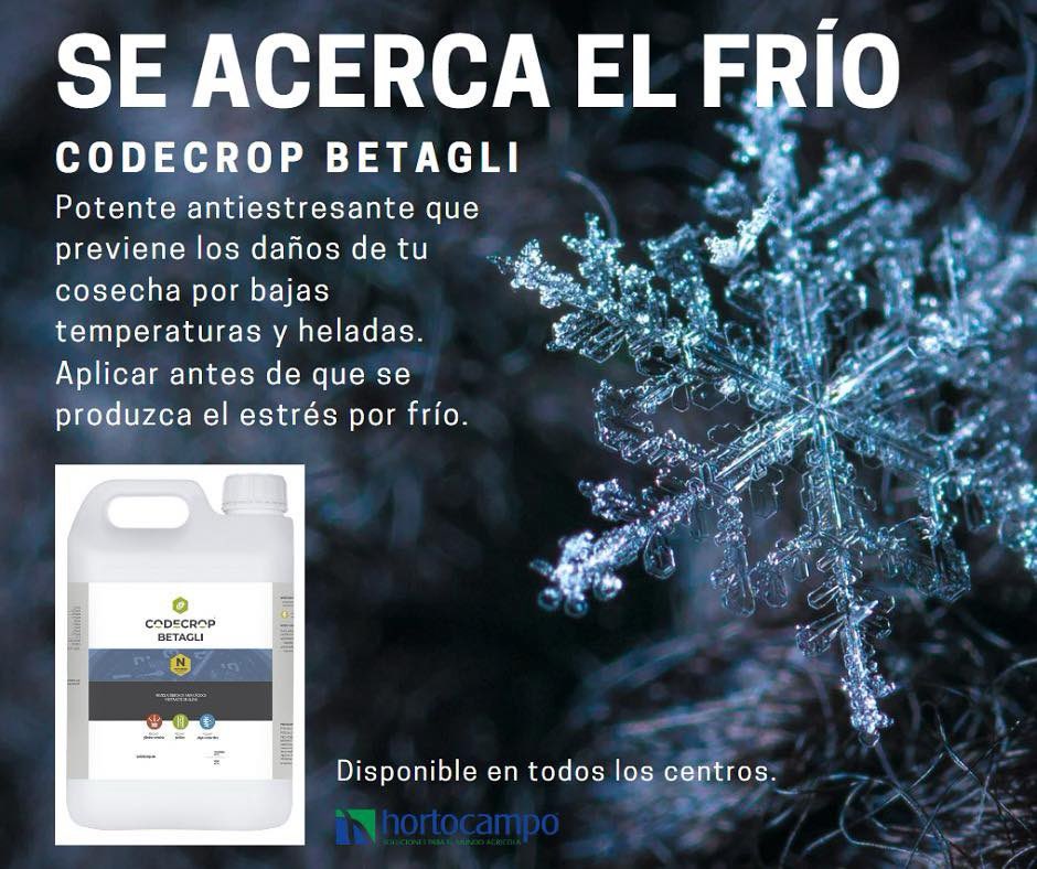 ¡Se acerca el frío! Protege tu cosecha del frío con #Codecrop Betagli 👉hortocampo.com/tienda/inicio/… #antiestresante #agricultura