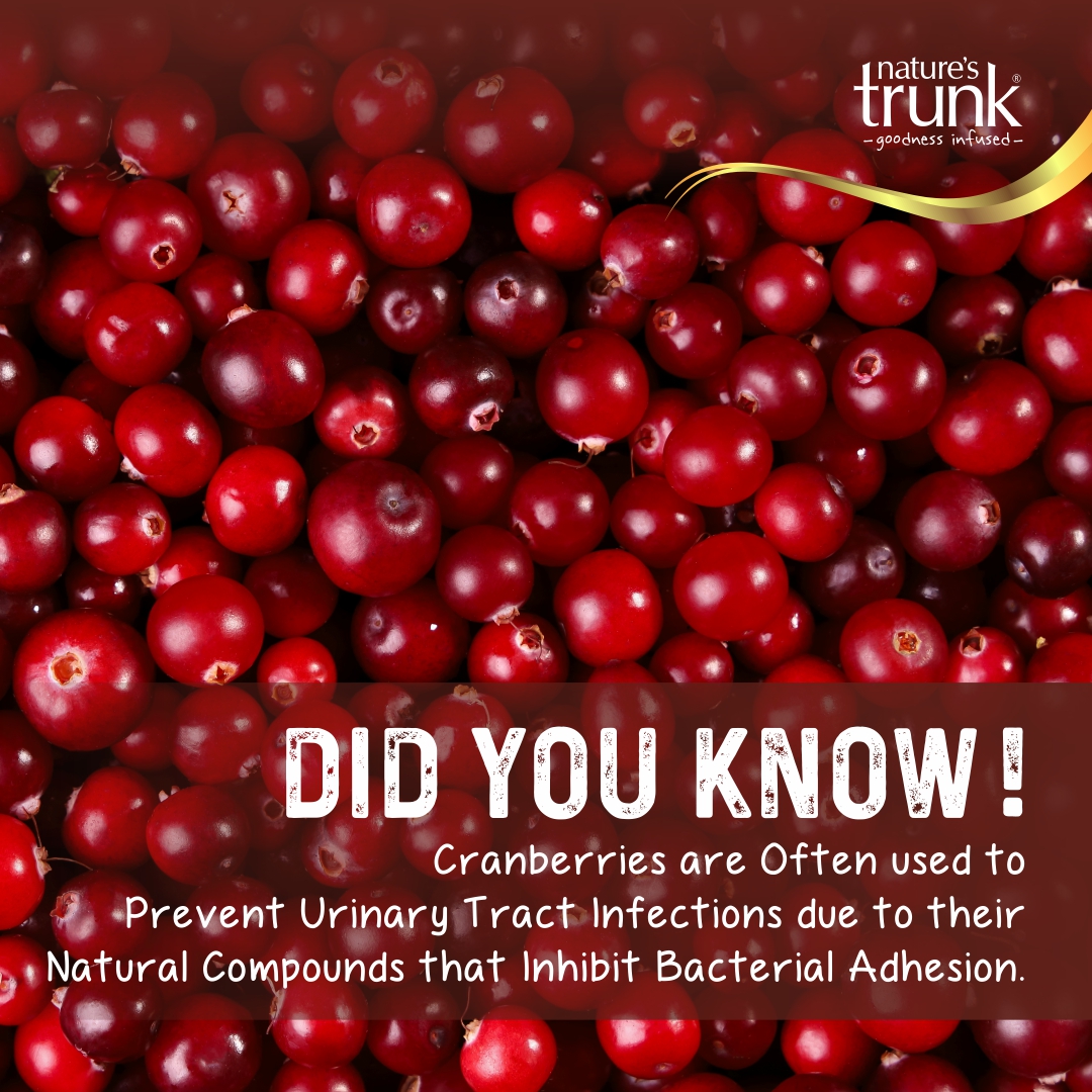 #Canberra #canberries #fruits #berries #urinarytract #infection #bacteria #Diet #kitchen #Food #nutrition #HealthTips #HealthyEating #DidYouKnow #funfacts #AmazingFacts #FactOfTheDay #InterestingFacts #mindblown #Factchecking #CuriousMinds #education #wowfacts #naturestrunk