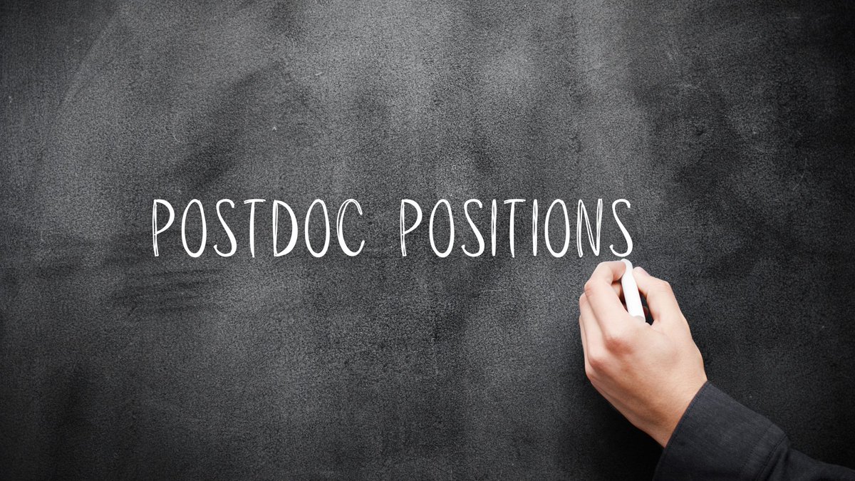 ift_uam_csic's tweet photo. 🌌 Are you a researcher in particle physics, cosmology, or quantum field theory?

The IFT in Madrid is calling for #postdoc applications!

Apply here by mid-December✍️https://t.co/uTDT4gOhhx https://t.co/LM5BDoMfoB