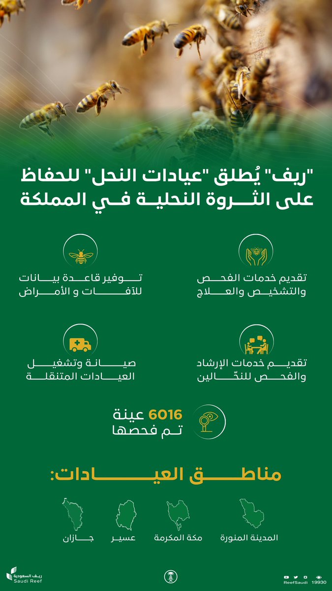 ريف السعودية tweet media