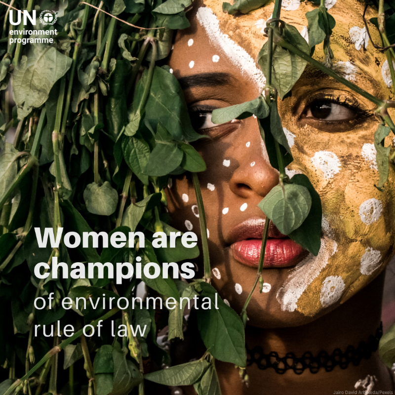 UNEP's tweet photo. Women are often at the forefront of conservation and environmental protection efforts.

UNEP’s new report highlights the need to protect environmental defenders and promote gender equality in environmental governance.