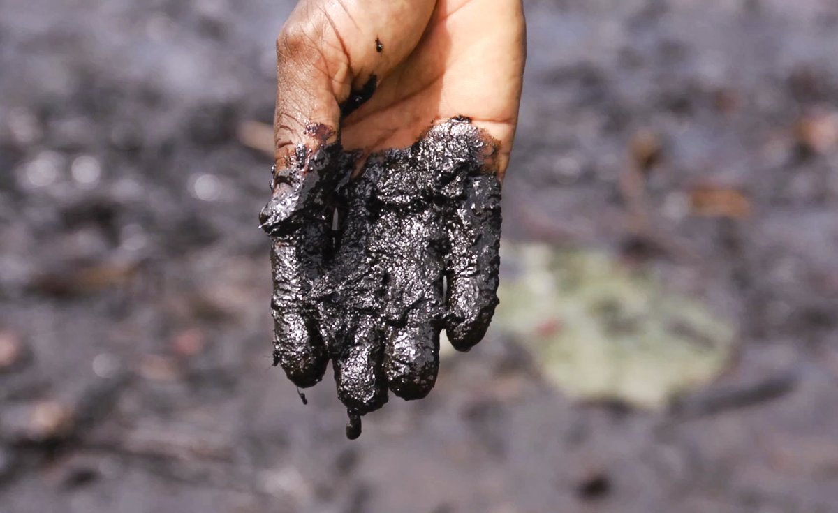 allafrica's tweet photo. Nigerian Communities Can Sue Shell for Oil Pollution, High Court Rules: https://t.co/3CZ9TCFTAh #Nigeria https://t.co/CbwXnvMQf7