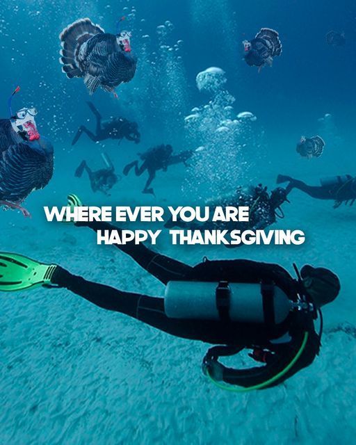 Stingrayvilla's tweet photo. Saw this last year on ScubaTony and thought it was perfect. Do you agree?
.
.
#teamboostly #islacozumel #cozumelmexico #cozumel #cozumeldiving #cozumelisland #scubamexico #scubacozumel #beachtime #beachtrip #beachgirl #travellife #travelfun #travelgirl #travelgoals #doyoutravel https://t.co/Z5Muh4G64V