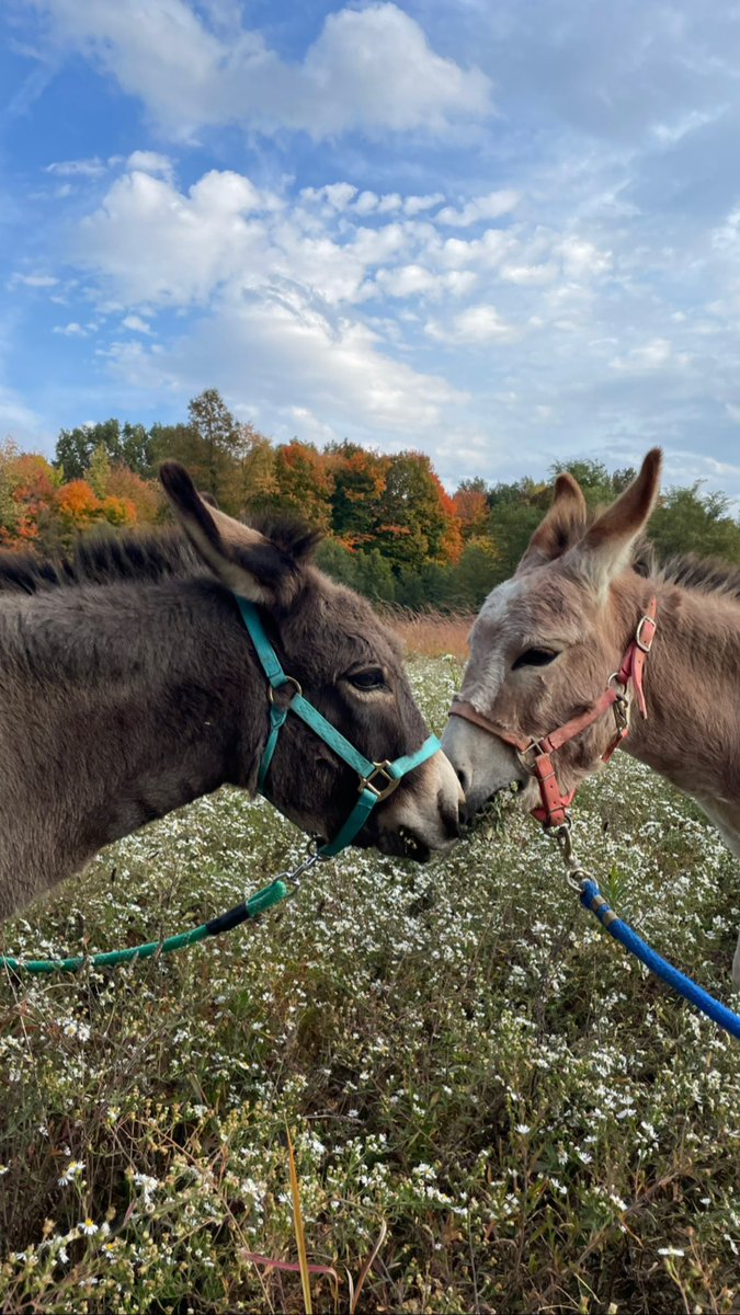 Hope y’all have a happy thanksgiving 🦃 <a href="/AndrewWSYX6/">Andrew Buck Michael</a> <a href="/JessicaWSYX6/">Jessica Ralston</a> <a href="/KurtWSYX6/">Kurt Ludlow</a> <a href="/KatieWSYX6/">KatieMcKee</a>