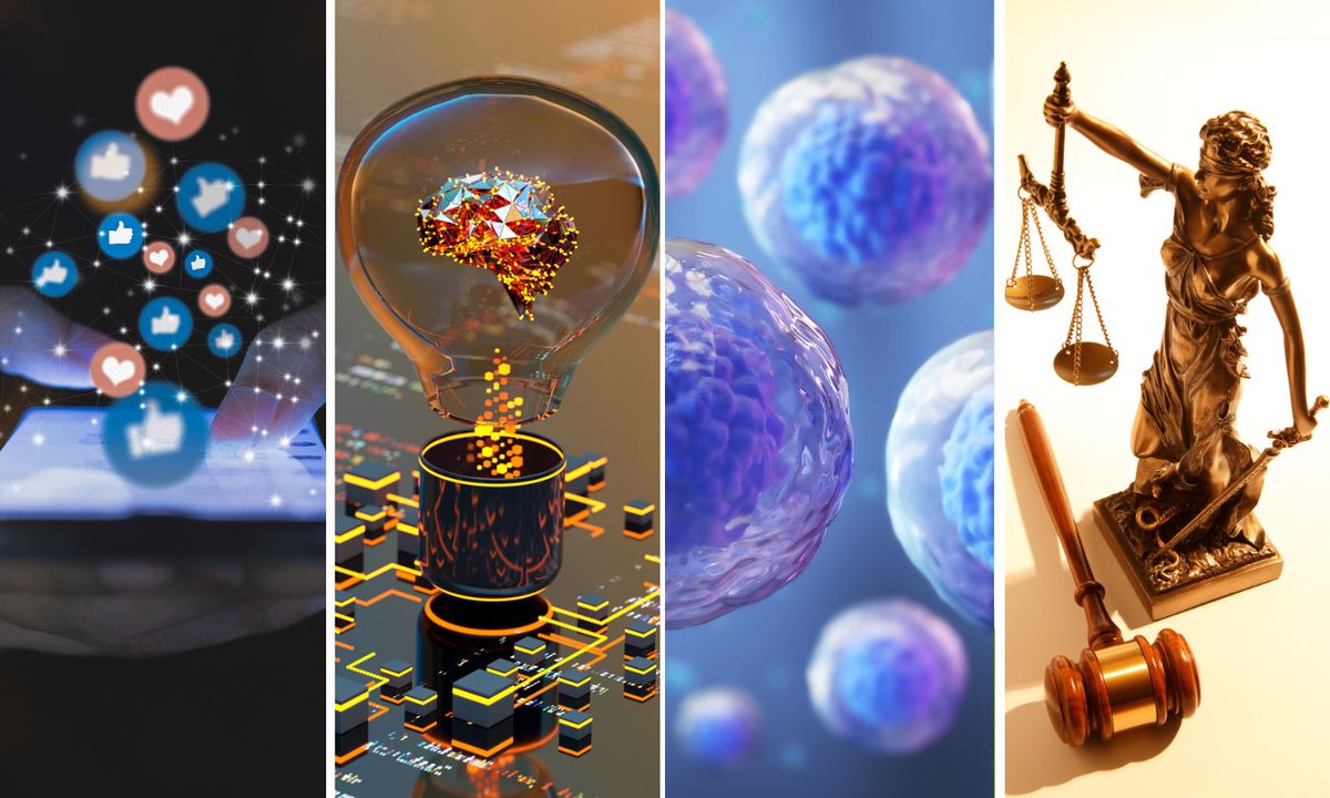 ERC_Research's tweet photo. @HorizonEU 4 interesting examples of #FrontierResearch funded by new Consolidator Grants:

✴️ statistical analysis of how the brain learns
✴️ how immune systems affect muscle ageing
✴️ justice for victims of mercenaries
✴️ exploring smaller social media platforms

👉 https://t.co/AjpUiW2CP1 https://t.co/WD9us031nw