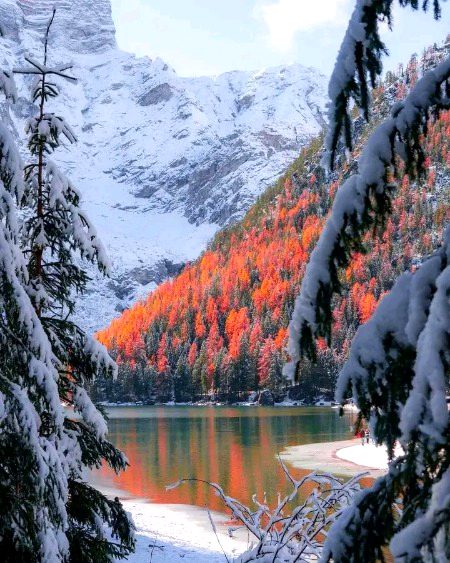 تم نہیں ہو تو ایسا لگتا ہے ۔۔۔۔۔ 

سکون،  رنگ،  خوشبو بچھڑ گئے مجھ سے

 خیال انہی کے آتے ہیں ۔۔۔۔۔ 

جن سے دل کا رشتہ ہو

 ہر شخص اپنا ہو جائے سوال ہی پیدا نہیں ہوتا 🥀🖤