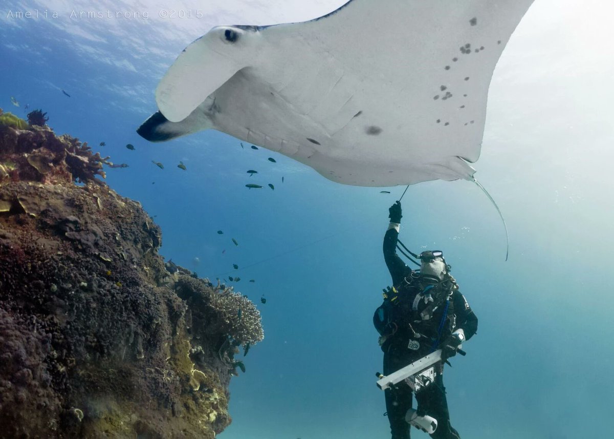 Leah Barclay tweet media