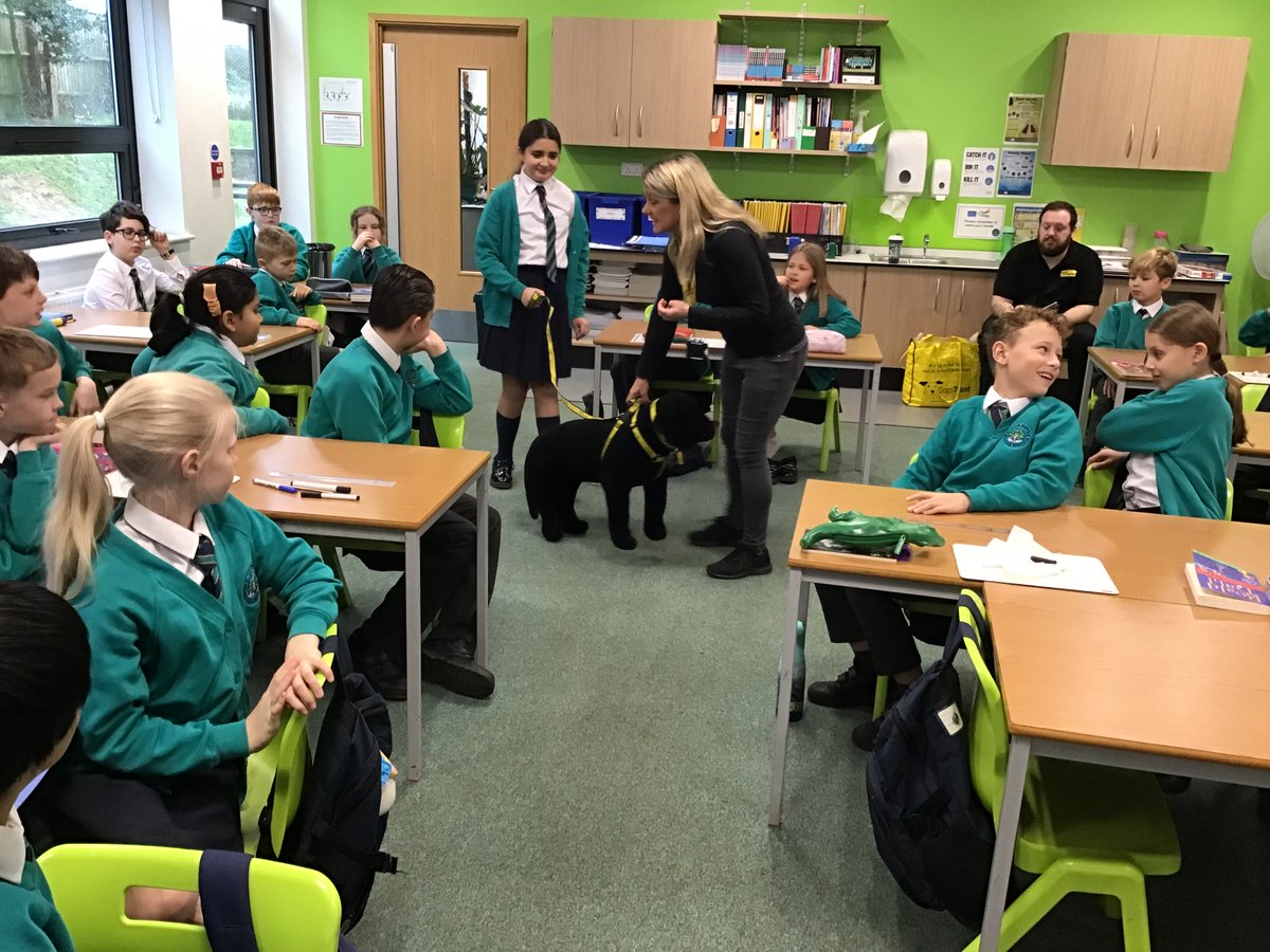 Year 6 enjoyed a talk by Dogs Trust this morning.  They learnt about safe ways to approach dogs and how to be Dog Smart when around dogs.