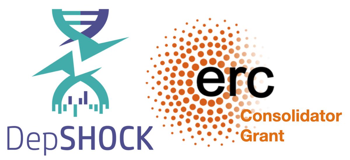 Excited to announce that our DepSHOCK project will be funded through an ERC-CoG!🎉 We will study signals from dying cancer cells, their information content and predictive potential for early anti-cancer drug discovery. So grateful for this opportunity! 🙌 @ERC_Research #ERCCoG