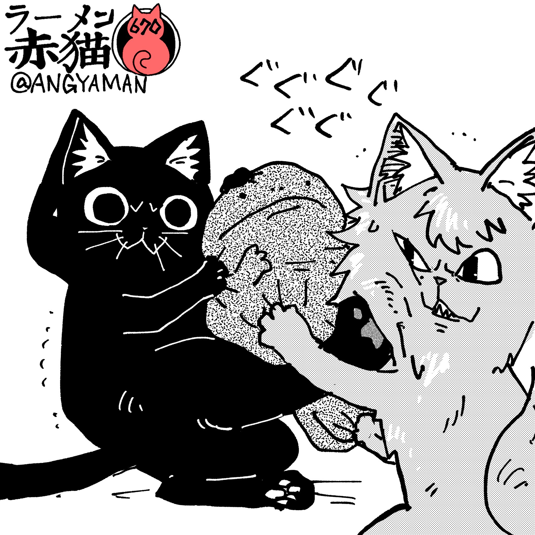 アンギャマン on X: 