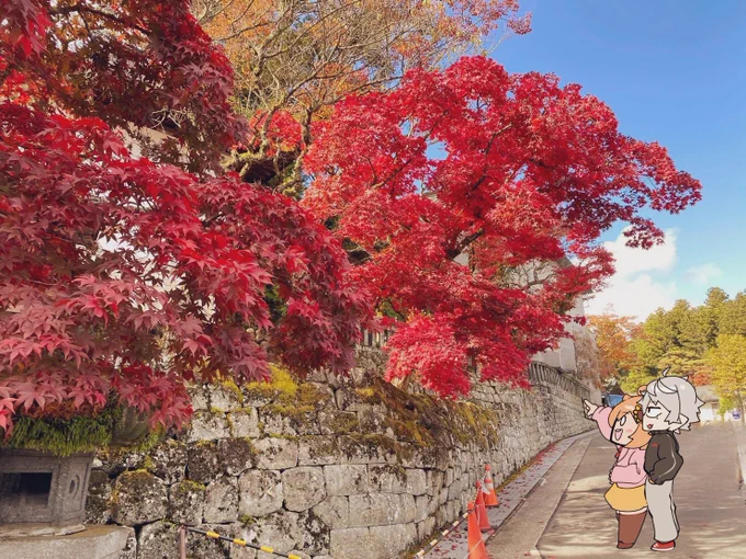 この間の日光旅行〜 #どくずほんしゃ