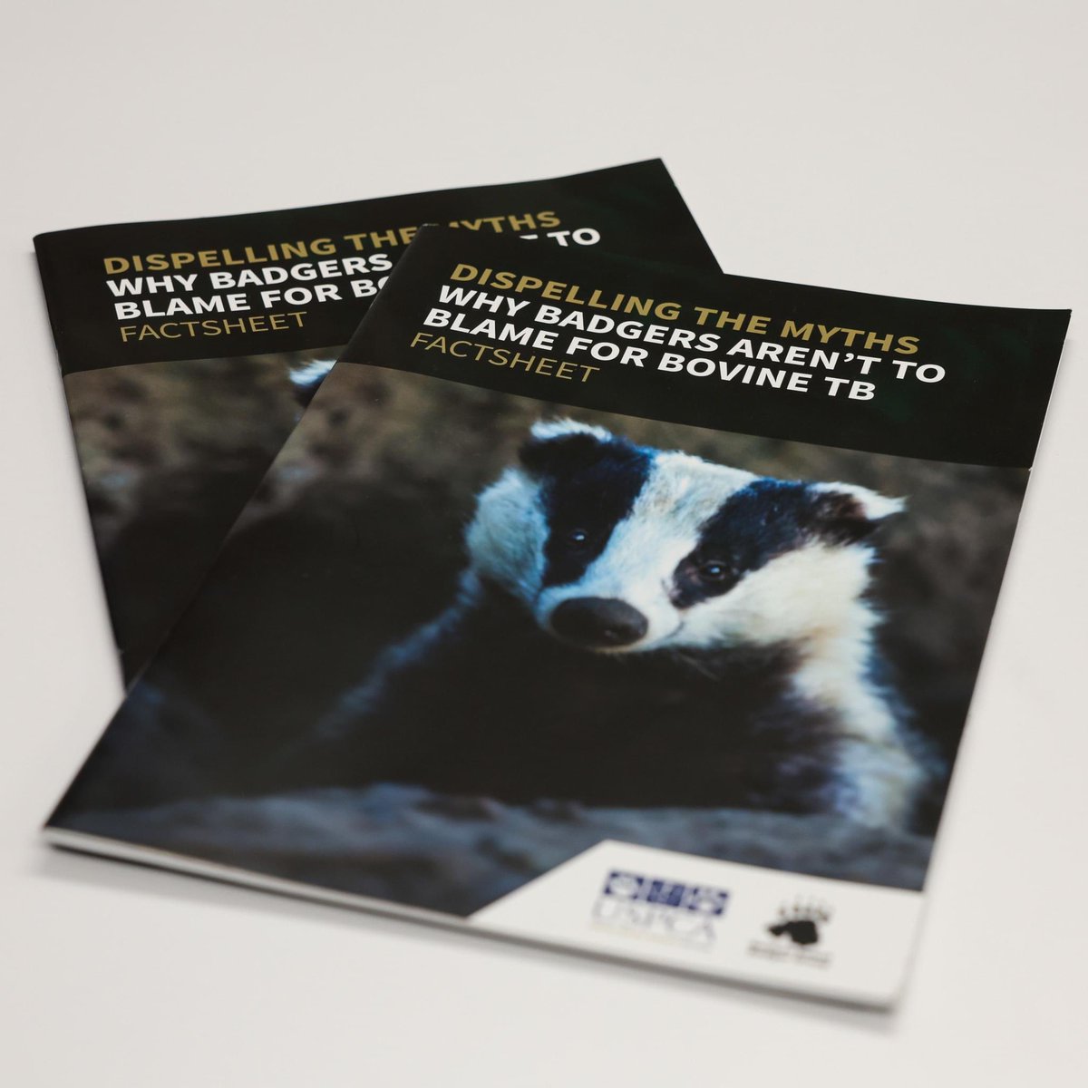 <a href="/badgersni/">Northern Ireland Badger Group</a> alongside the USPCA has published a new factsheet on dispelling the myths on the role badgers play in the spread of Bovine TB (bTB).  

Read the full factsheet here 👉bit.ly/badgerfactsheet

#AnimalWelfare #AnimalCharity #Badger #ProtectBadgers #ProtectUKWildlife