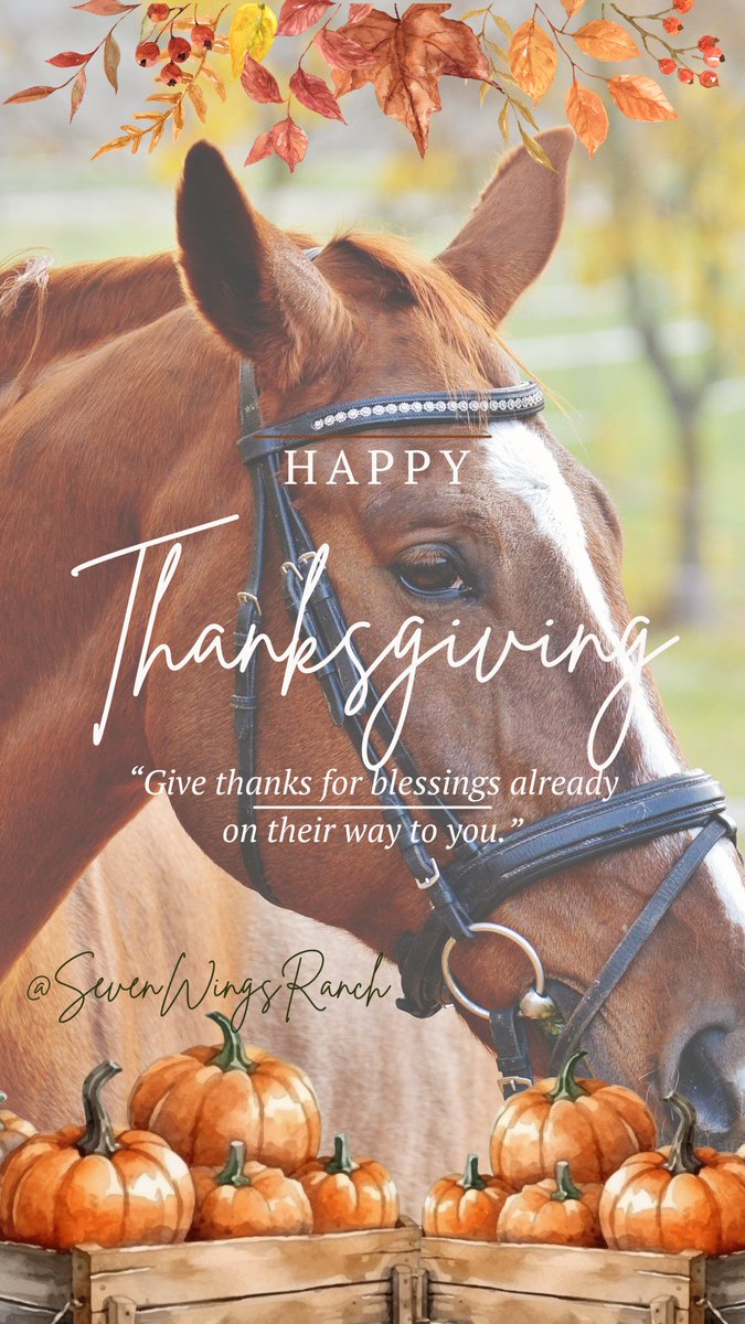 Happy #Thanksgiving2023!  "Gratitude opens the door to the power, the wisdom, the creativity of the universe. You open the door through gratitude." - Deepak Chopra