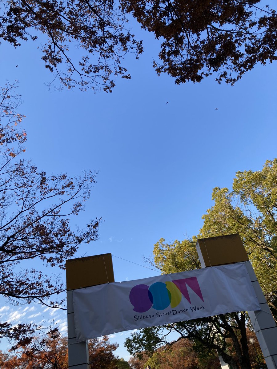 akkkie1's tweet photo. ピースフルな代々木公園でした!!✨
#SSDW2023 https://t.co/UvMu21hn2V