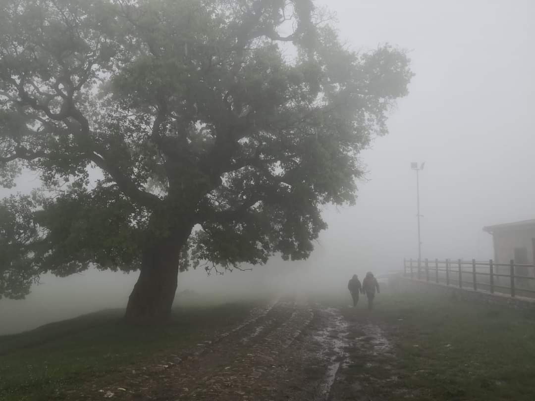 Tra la nebbia...
#montidauni 
#fog 
#AutumnVibes