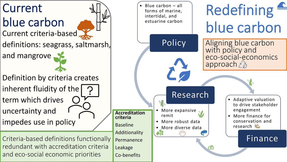 How do we define #BlueCarbon, and how can we change this definition to be more effective in #policy? A paper in @STOTEN_journal answers this question, arguing that blue carbon should be redefined as all forms of marine, intertidal, and estuarine carbon. loom.ly/p8bYAHM