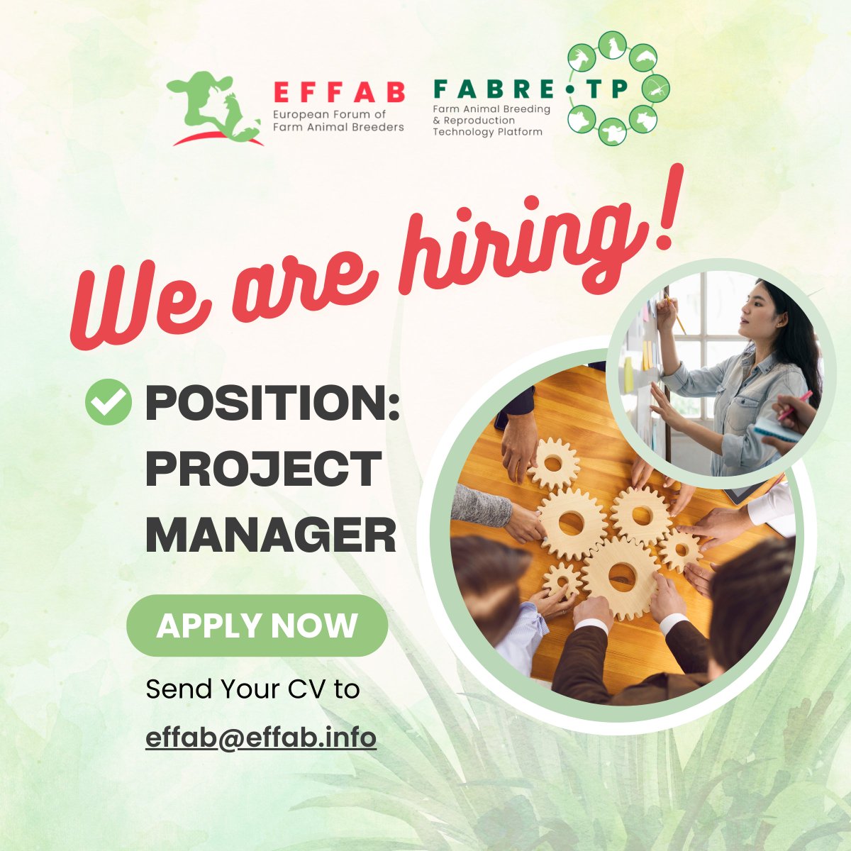 📣 Opportunity alert! 📣 EFFAB is hiring a Project Manager! Here's your chance to be part of a dynamic team shaping the future of European #animalbreeding. Ready to join us? Spread the word, learn more, and apply ⬇️ bit.ly/46sV2Bb #Hiring #ProjectManager