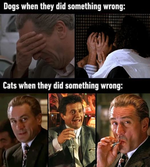 Orwell & Goode (@orwellngoode) on Twitter photo 