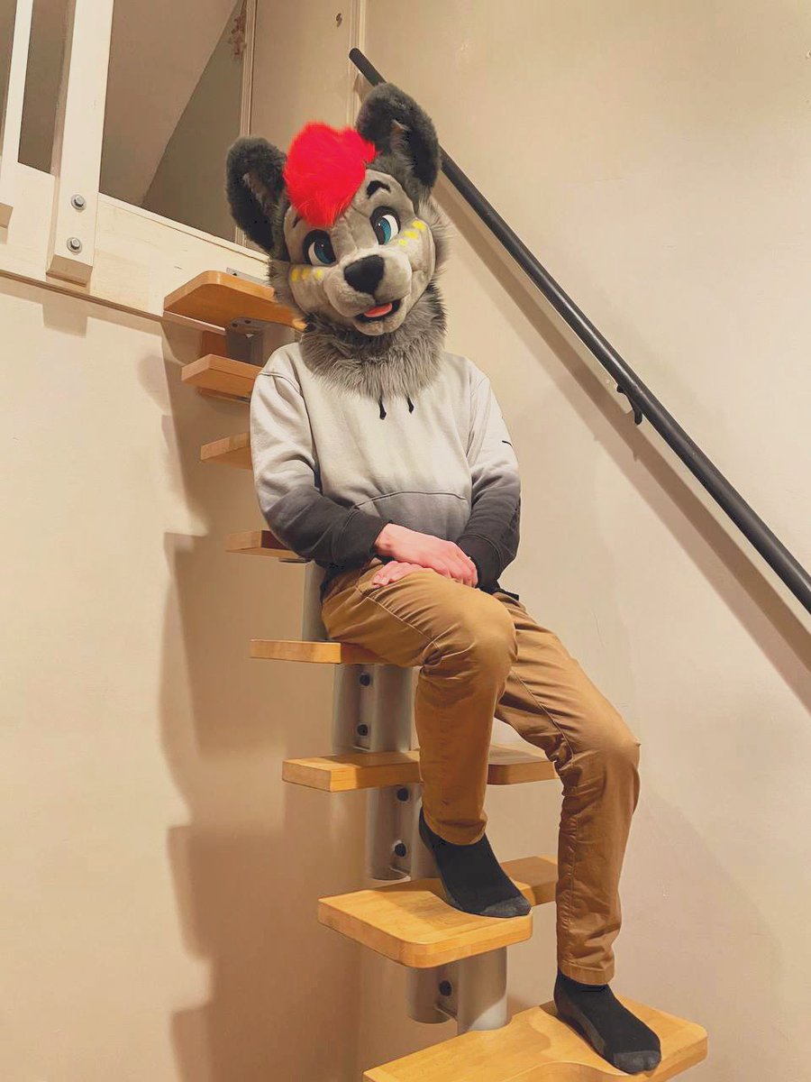 JTwusky's tweet photo. Bark Bark….Bark Bark ❤️ https://t.co/PFZXkHU79v