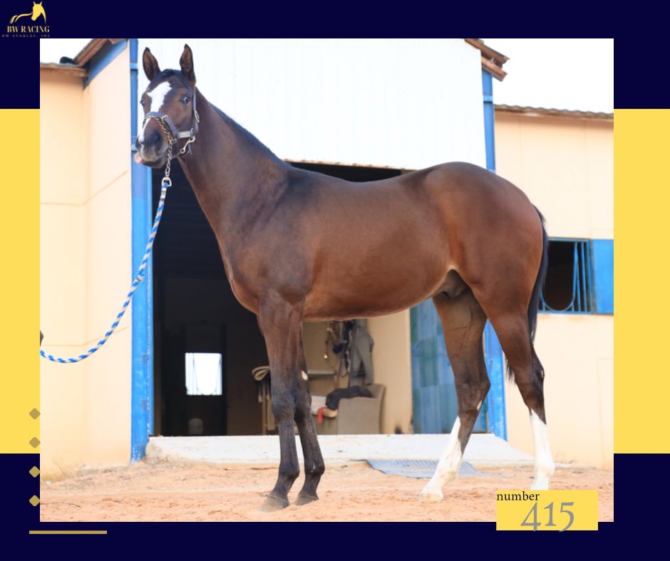 BW RACING tweet media