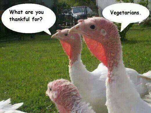 ClassJuggler's tweet image. How was your Thanksgiving?  We're thankful you're a customer!  We'll be back Monday with live customer support. Meanwhile leave us a message:  bit.ly/1lL95Gu   #ThanksgivingHumor #ThanksgivingFunny #ThanksgivingHumor #ThanksgivingLOL