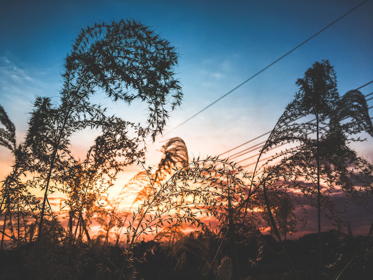 Eye_drops_flow's tweet image. 色々と上手くいかないことも多いけど、何もしなければ何も変わらないしね。。。
とりあえず夕日見て気持ちリセット🗑️