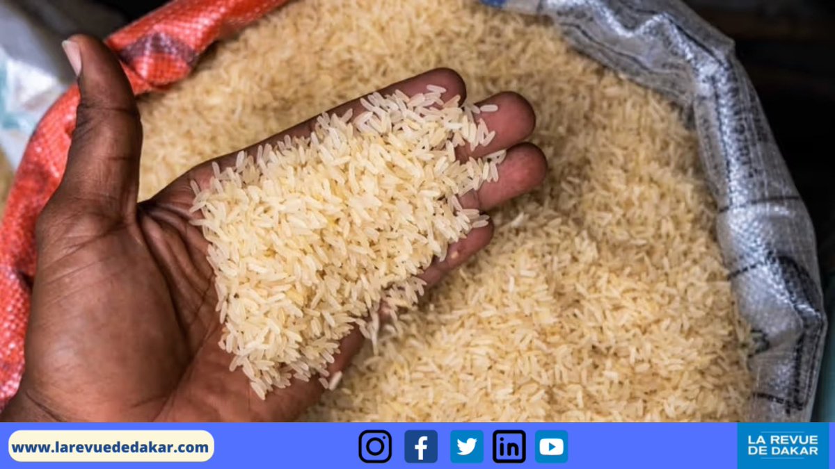 Comment l’Afrique peut-elle économiser les milliards de $ dépensés dans le #riz importé ?

➡️  Lire l'article :   shorturl.at/nAKX2  

#alimentation        #Afrique        #Senegal          #kebetu