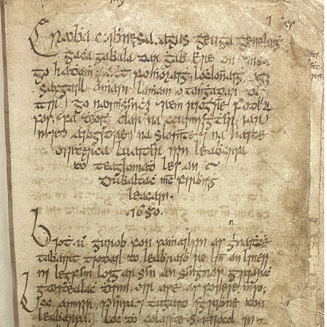 ucdspeccoll's tweet photo. Here is a glimpse of 'Leabhar an nGenealach' or the 'Great Irish Book of Genealogies', compiled and written by Dubhaltach Mac Firbisigh, c.1645-66 (UCD Additional Irish Ms., 14)
See the full manuscript on🔗https://t.co/vPj9ewKOXi
#EYATradition #EYASeanchas #ExploreYourArchive https://t.co/9dHq4E0DDf
