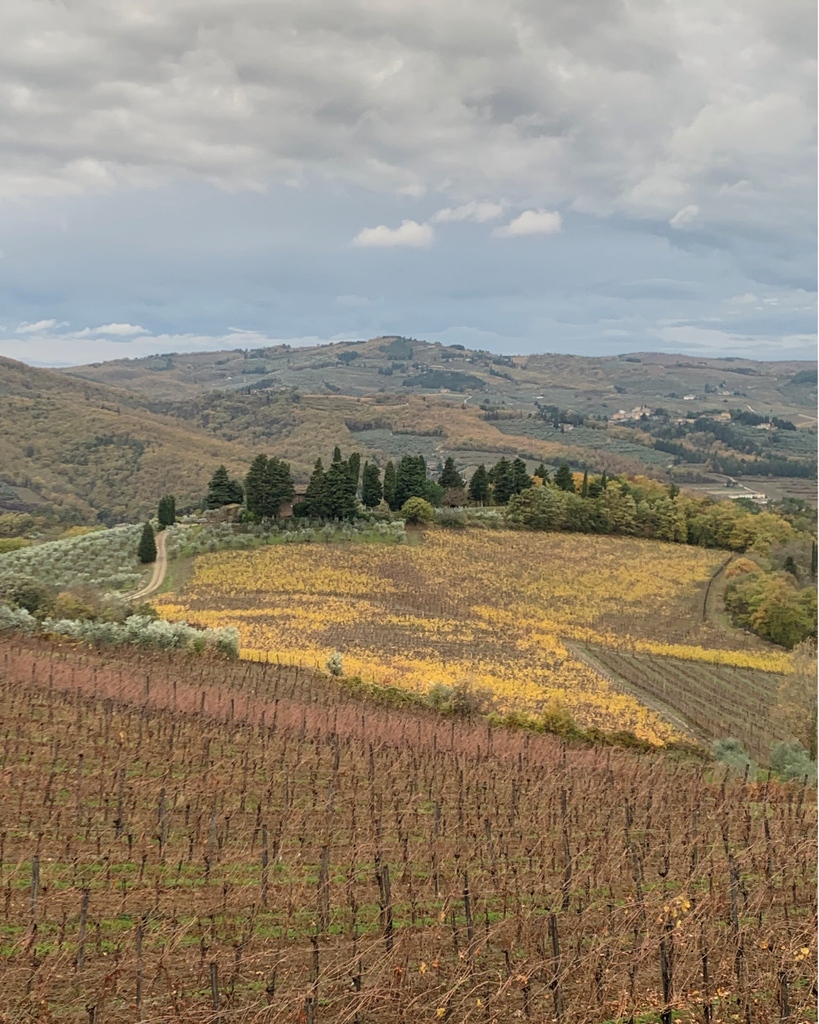 The Chianti Classico region boasts a diverse range of soils, altitudes, microclimates, and biodiversity, making it an ideal location for cultivating Sangiovese.⁠ Our Chianti Classico Riserva is a tribute to the region’s landscape and natural greatness.⁠