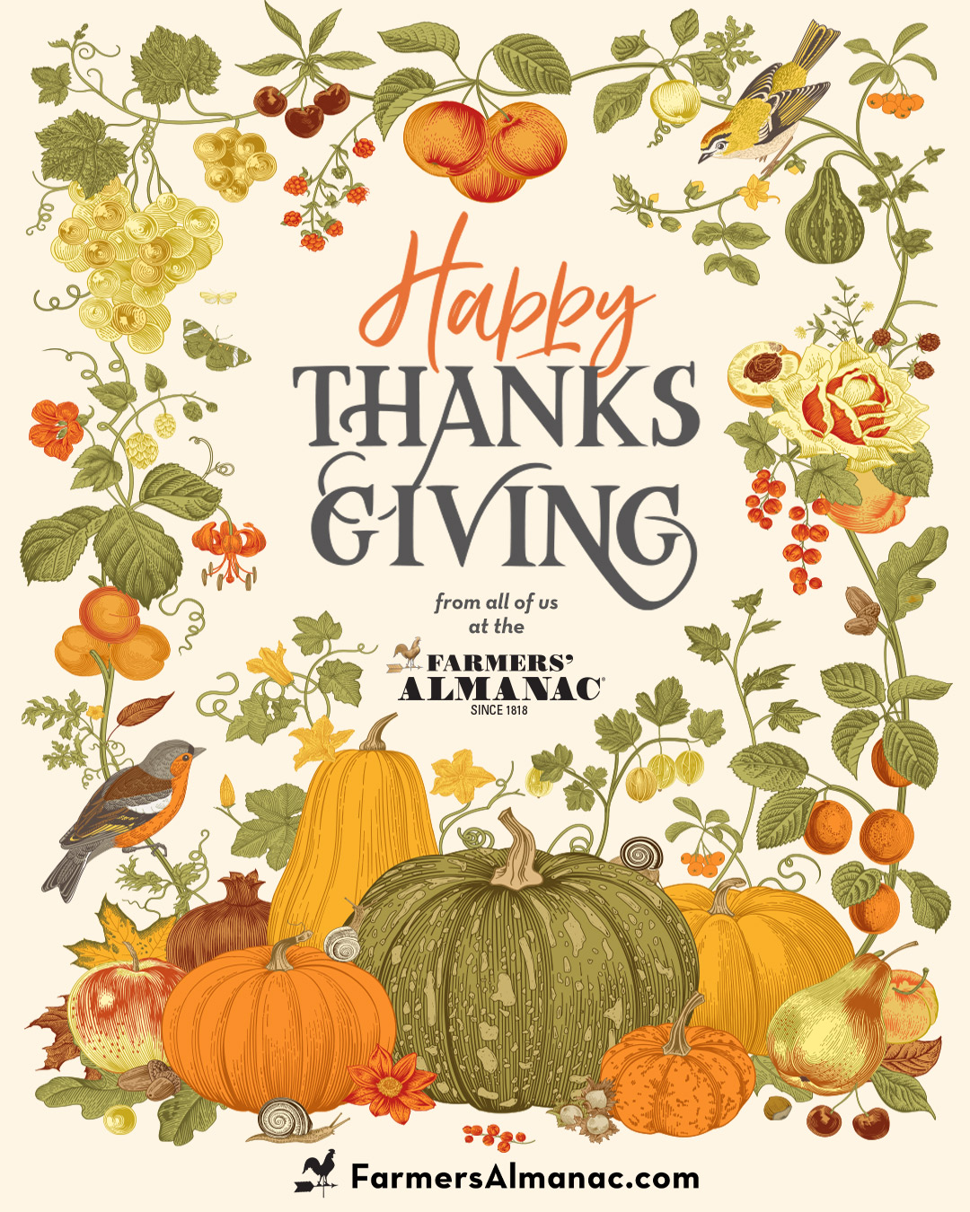 When is Thanksgiving Day? - Farmers' Almanac - Plan Your Day. Grow Your  Life.