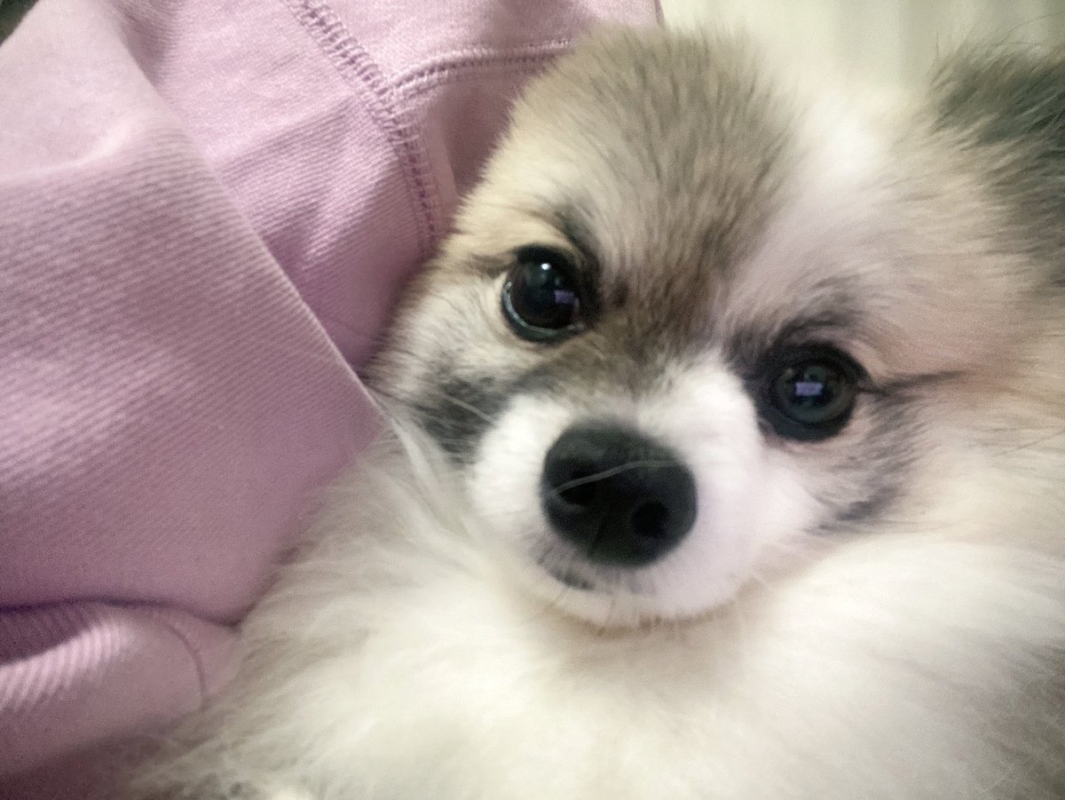 다들 모두 행복하시길❤️