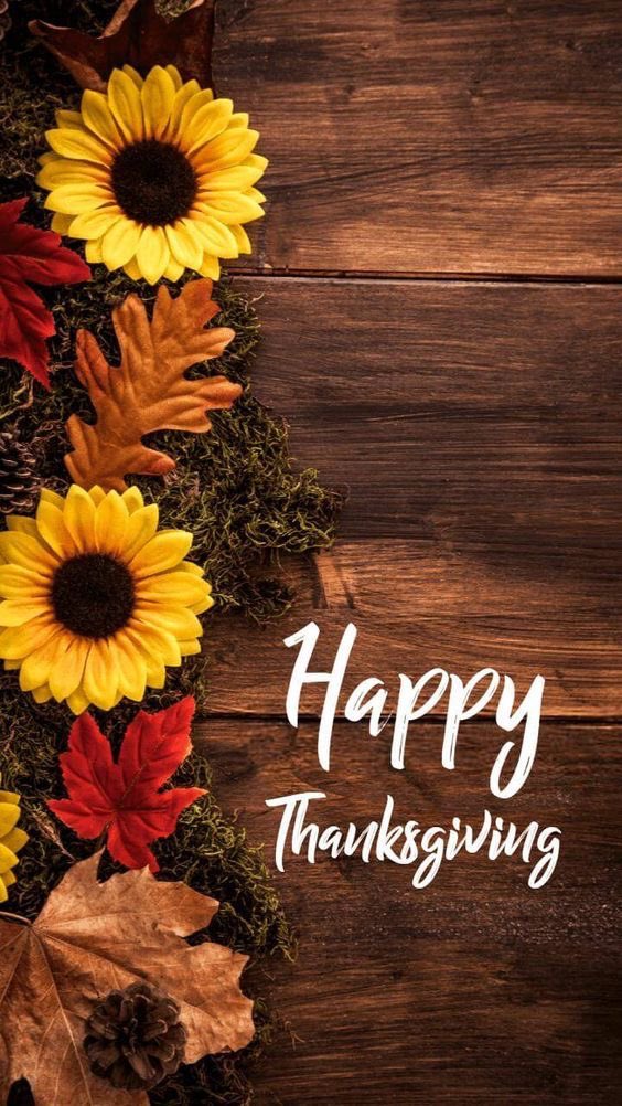 Wishing our Harborside community a wonderful Thanksgiving. #HappyThanksgiving #thankful #grateful #hmspto