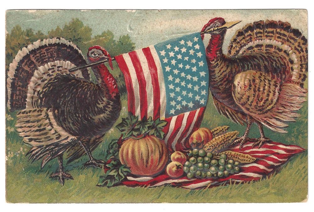 I pledge allegiance to the flag of the United States of American and to the republic for which it stands, one nation under God, indivisible, with liberty and justice for all Happy Thanksgiving, everyone!