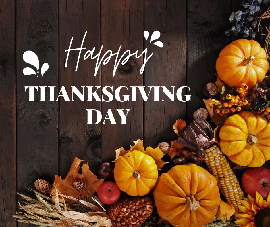 Happy Thanksgiving! We are incredibly grateful for our generous donors, volunteers and staff.