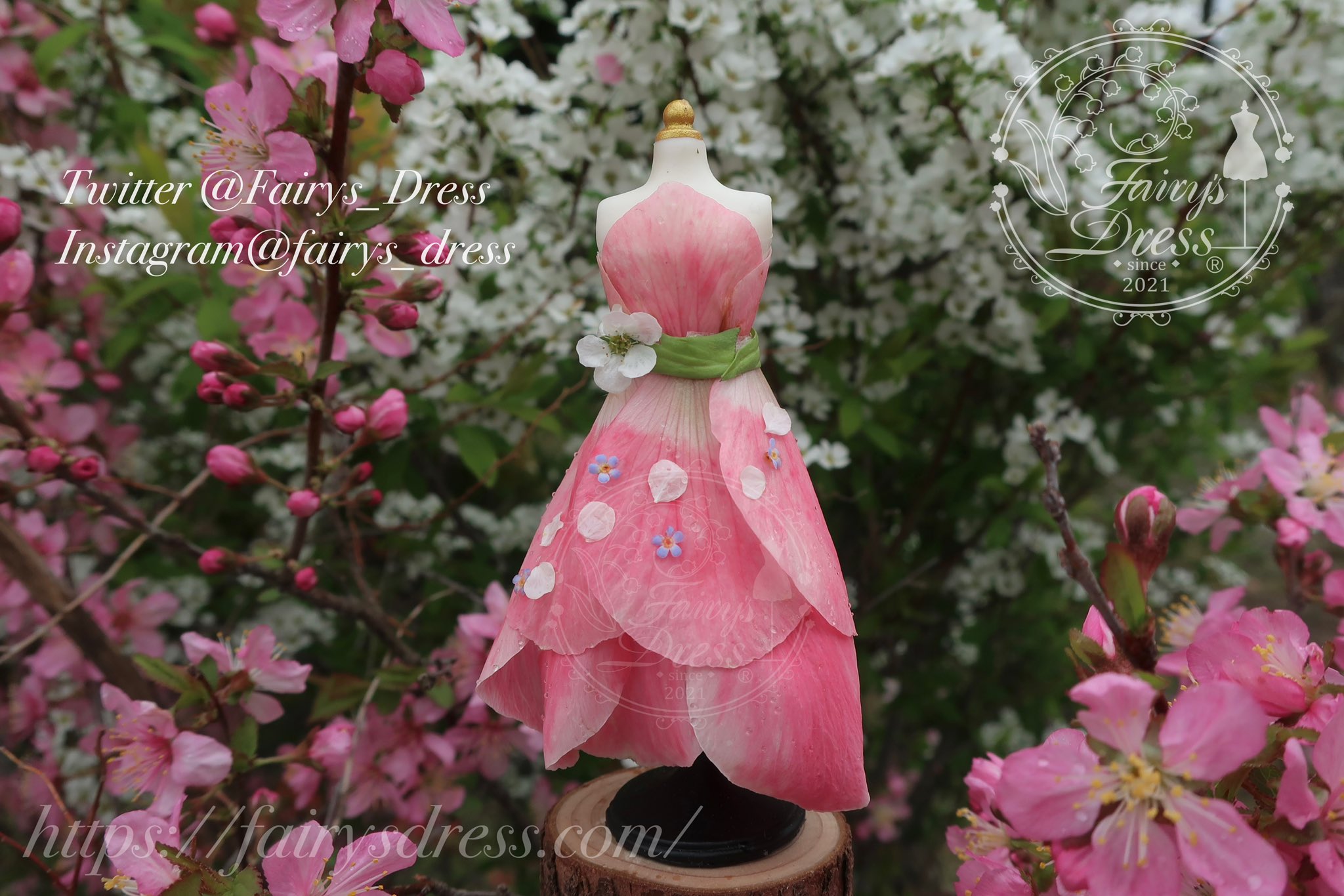 Highlights by Fairy's Dress (@Fairys_Dress) / X