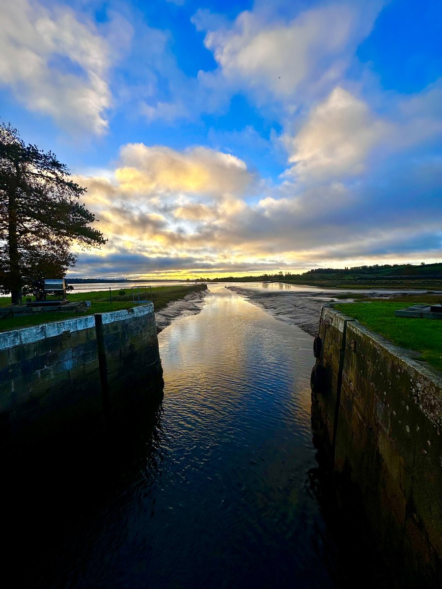 Tim Ridgeway tweet media