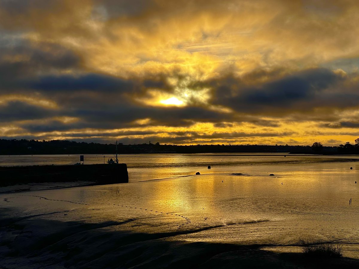 Tim Ridgeway tweet media