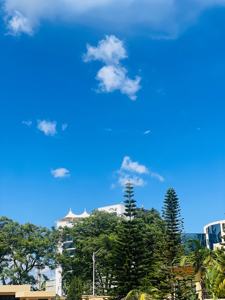 FabRugumire's tweet photo. Basking in the radiant sunshine of Kigali today ☀️. The warmth of the sun adds an extra glow to the vibrant city. Embracing the beauty and positivity that every sunny day brings.
#KigaliSunshine #RadiantDays
📸 #Fab https://t.co/TllnRdDIg6