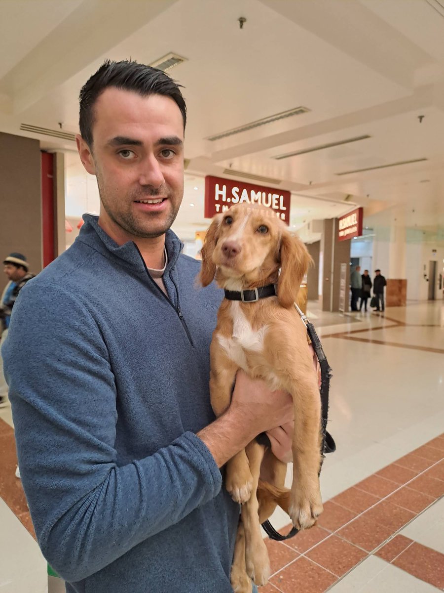 Our police pups and puppy fosterers are out in force at Merry Hill shopping centre 🐶

Today they're here to take part in socialisation training and promote our puppy walker scheme 👮‍♂️

Interested in becoming a puppy fosterer? Learn more here 👉ow.ly/Jzzb50QaH0t