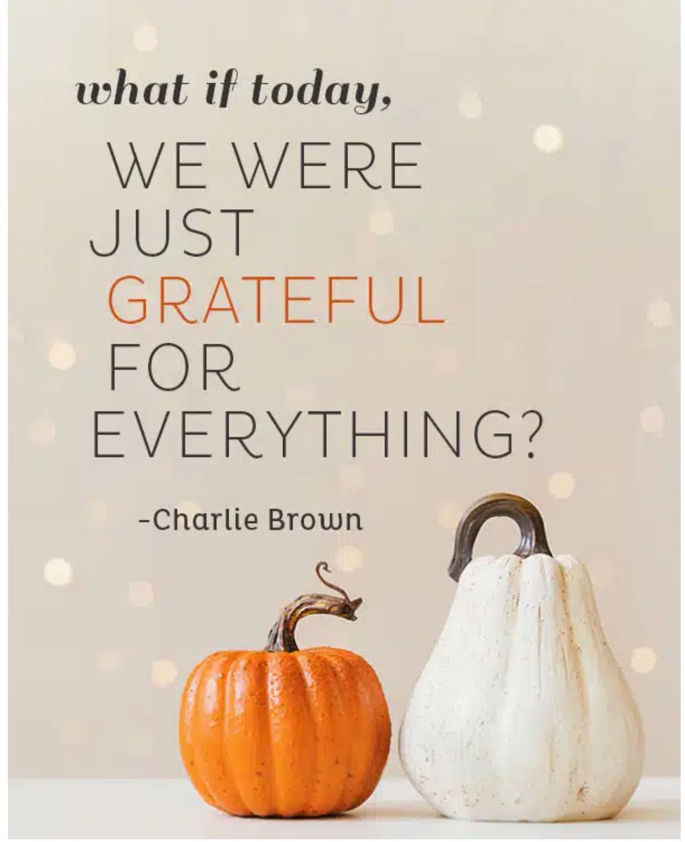 Thomas4Leaders's tweet photo. 🦃 Wishing our QO community a Happy Thanksgiving! 🍂
Grateful for each student, staff member, & family that makes our school special.
Thankful to be part of the journey! 🙏🍁 #ThankfulForCommunity #HappyThanksgiving https://t.co/C7zzrrGMNc