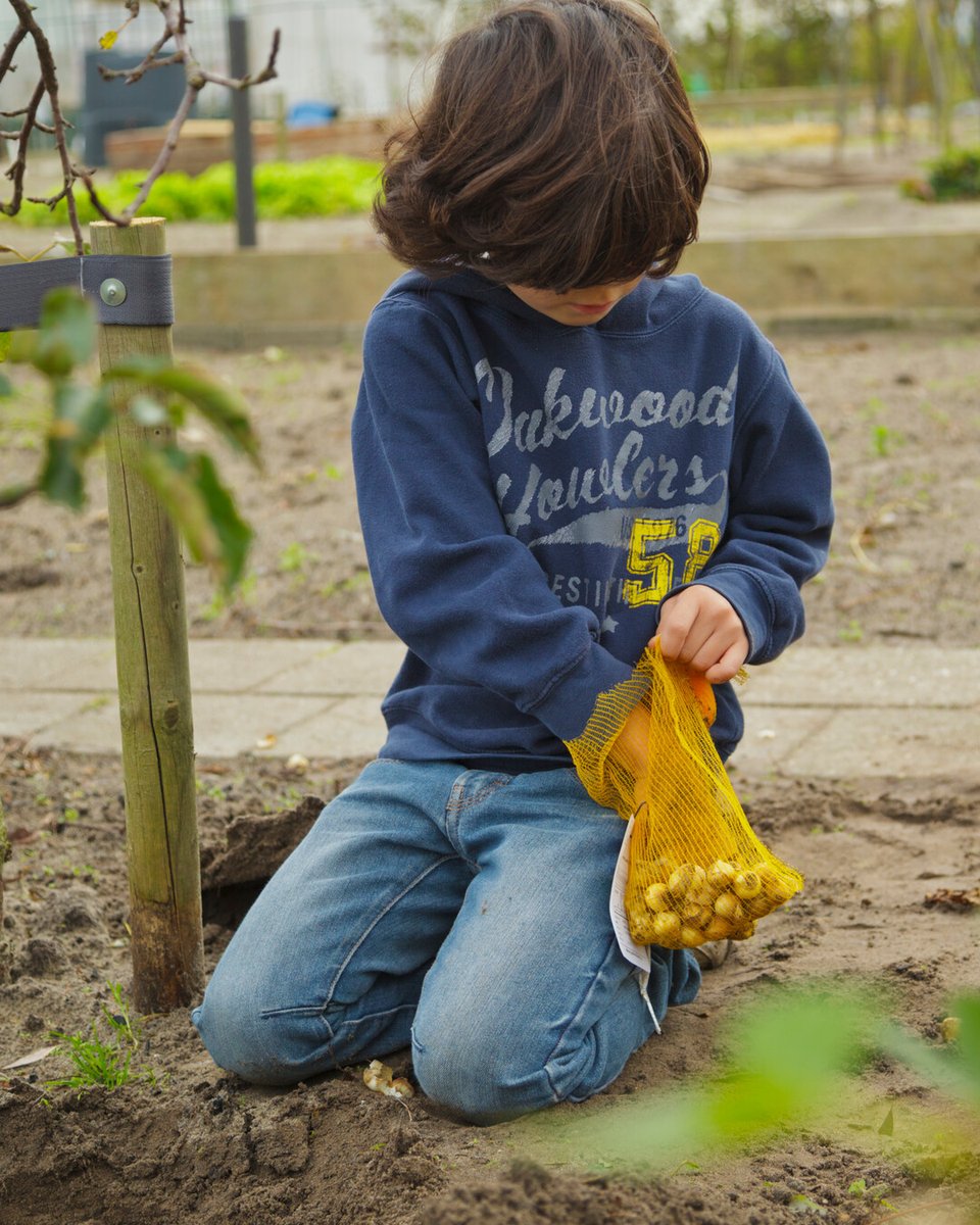 Bulbs4Kids_NL tweet media