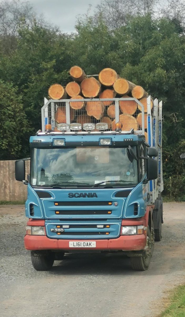 BucklandTimber's tweet photo. When were approached by Structure Tone about a project in the centre of London, one of the key requirements was to use locally sourced materials. 

Read more about this double-storey terrace project...

https://t.co/tHkw2dJL0o 

 #SeedToCity #RenovationProject #GlulamProject https://t.co/t5o1NlVHuL