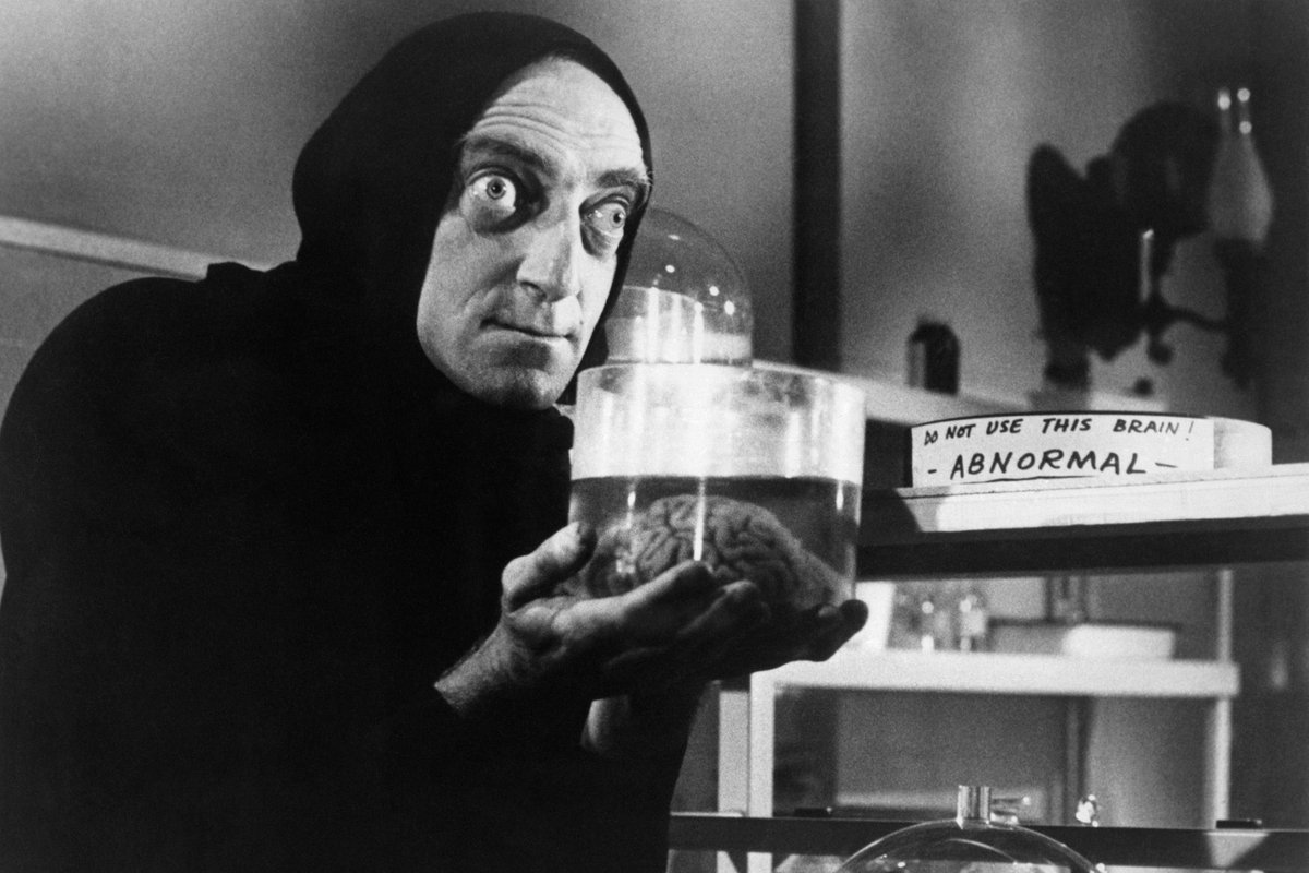 jagang_1's tweet photo. @RealEmirHan Young Frankenstein 1974 https://t.co/u9aPeVRSAv