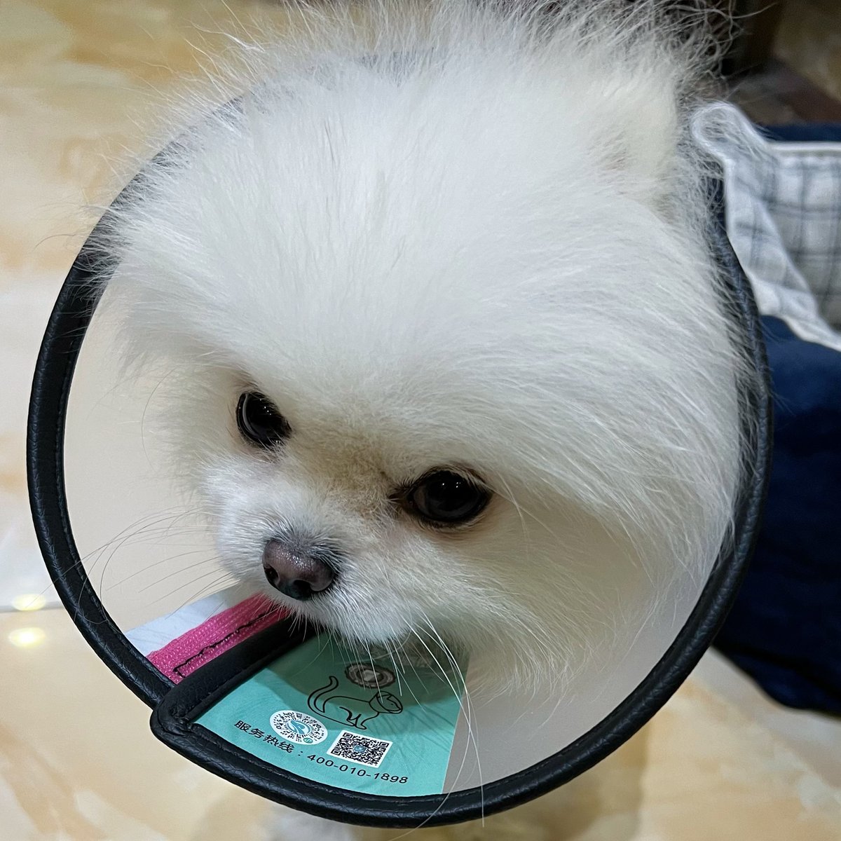 屁眼子发炎，给孩子委屈坏了