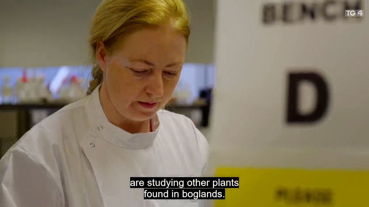 NatProCentre tweet media