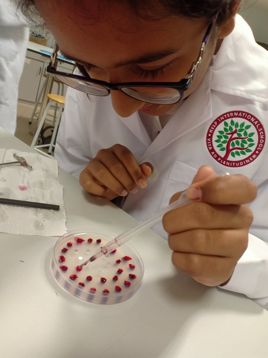 PremzCuriositi1's tweet image. We were inspired to respire to proof biological concepts. Can u guess what students were investigating in each pic? @HISScienceNow #HIS_learning